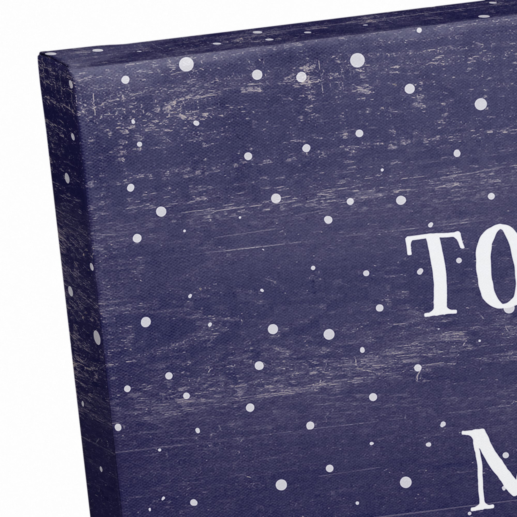 To The Moon & Back Canvas Wall Art